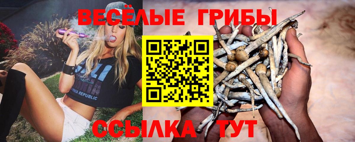 Галлюциногенные грибы мицелий Армавир